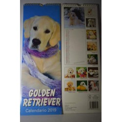 calendario  cani gold...