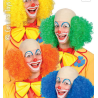Calotta clown radicata in lattice