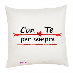 cuscino cm 40x40 san...