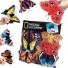 Farfalle national georfaphic cm 5,8x14 display 12 pezzi assortiti