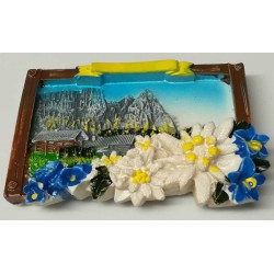 magnete quadro  con paesaggio e stelle alpine cm 7x5,5