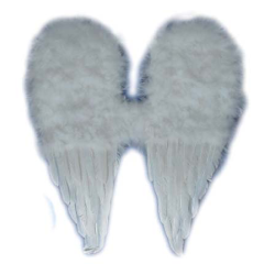 Ali angelo bianche in piuma