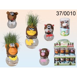 37/0010 - Testa d'erba animale in scatola PVC, 5 ass., 16 pz. per displayEAN 4029811343379