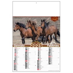 kit 100 calendari bimensili...