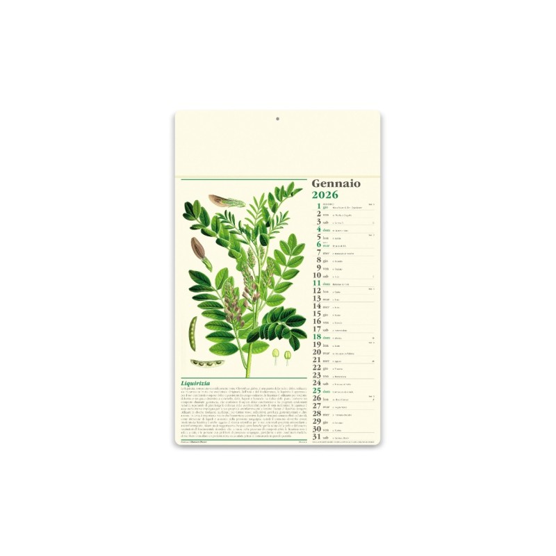 kit 100 pezzi Calendario Erboristeria Mensile 12 fogli, carta avorio 70gr, testata fustellata rinforzata triplo strato e festiv