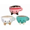 TnT STARCUPS